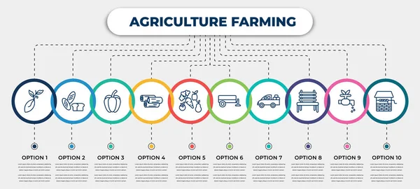 Vector Infographic Template Icons Options Steps Infographic Agriculture Farming Concept — Archivo Imágenes Vectoriales