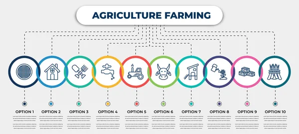 Vector Infographic Template Icons Options Steps Infographic Agriculture Farming Concept — Archivo Imágenes Vectoriales