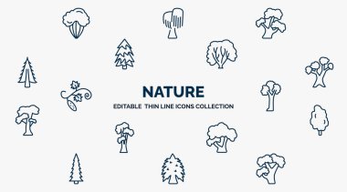 concept of nature web icons in outline style. thin line icons such as shadbush tree, bitternut hickory tree, american hornbeam tree, eastern white pine pin cherry tulip honey-locust eastern hemlock