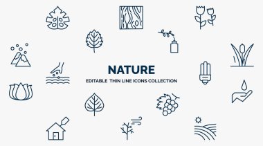 concept of nature web icons in outline style. thin line icons such as fern, pair of flowers, floral decorations, reeds, led bulb, conservation, grapevine, leafless tree, vineyard vector.