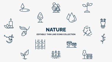 concept of nature web icons in outline style. thin line icons such as wate, plants growing, raindrop, flower bouquet, autumn leaves, prairie, palm islands, forest fire, park bench vector.