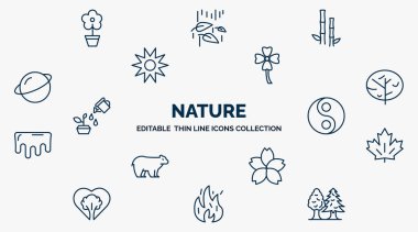 concept of nature web icons in outline style. thin line icons such as daisy on pot, bamboo plant from japan, clovers, black oak tree, fengshui, red maple tree, japanese flower, fire flame, tree with