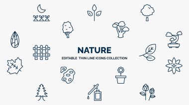 concept of nature web icons in outline style. thin line icons such as cultivation, basswood tree, gray birch tree, bonsai tree, branches with leaves, petals, flower pot, essence, two roses vector.