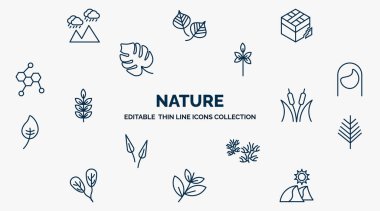 concept of nature web icons in outline style. thin line icons such as rainy landscape, damaged, sprig with five leaves, hair style, reed bed, yew leaf, escuamiforme, black willow, dune vector.