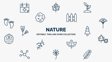 concept of nature web icons in outline style. thin line icons such as treatments, seeding, fences, ginkgo, spruce, dry leaf, sassafras leaf, pollen, pine needle vector.