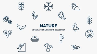 concept of nature web icons in outline style. thin line icons such as briar leaf, sunny protic, grape leaf, acacia, pine tree on fire, natural energy, bamboo sticks, carnivorous plant, willow leaf