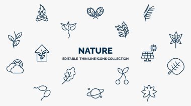 concept of nature web icons in outline style. thin line icons such as camping bonfire, pine leaf, rowan leaf, chestnut leaf, solar, reniform, cherry planet with satellite, liquidambar vector.