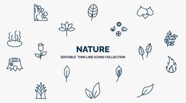 concept of nature web icons in outline style. thin line icons such as mountain pse, cercis leaf, season, bilberry leaf, pedunculate, burning flames, lemon leaf, tree leave, orange vector.