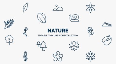 concept of nature web icons in outline style. thin line icons such as acicular, aster, snail, snowslide, oleander, anthurium, pointia, sakura, astrantia vector.