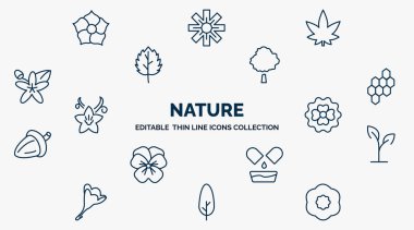 concept of nature web icons in outline style. thin line icons such as hydrangea, hemp, beech, hive, dianthus, plant growing on book, natural medical pills, cypress, petunia vector.