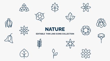 concept of nature web icons in outline style. thin line icons such as bougainvillea,  , maple, iris, geranium, carnation, jonquil, grow plant, zinnia vector.