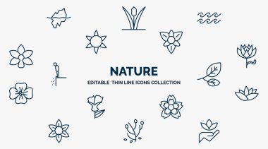 concept of nature web icons in outline style. thin line icons such as iceberg, waves, gladiolus, protea, branch, nymphea, knapweed, anemone, save nature vector.
