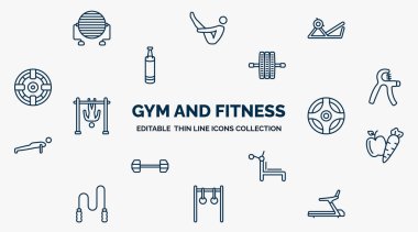 concept of gym and fitness web icons in outline style. thin line icons such as pilates ball, press simulator, gymnastic roller, grip, power ball, carrot and, simulator for press, rings exercises,