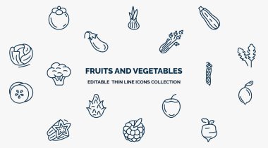 concept of fruits and vegetables web icons in outline style. thin line icons such as mangosteen, zucchini, celery, arugula, peas, lemon, hazelnut, raspberry, radishes vector.