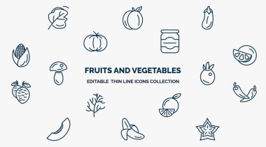 concept of fruits and vegetables web icons in outline style. thin line icons such as spinach, eggplant, mason jar, grapefruit, passion fruit, pepper, orange, banana, carambola vector.