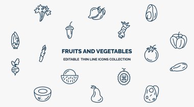 concept of fruits and vegetables web icons in outline style. thin line icons such as parsley, avocado, horseradish, paprika, tomato, courgette, durian, guava, potatoes vector.