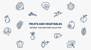 concept of fruits and vegetables web icons in outline style. thin line icons such as pomegranate, pitaya, chili, peach, breast milk fruit, grapes, sweet potato, olive, basil vector.