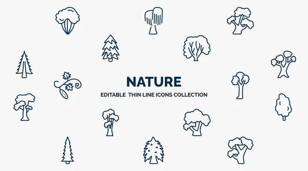 Concept Nature Web Icons Outline Style Thin Line Icons Shadbush — стоковый вектор
