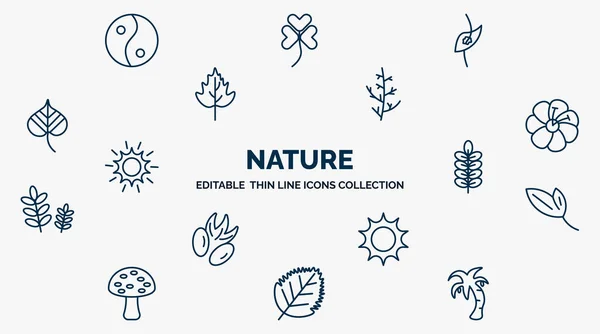 Concept Nature Web Icons Outline Style Thin Line Icons Asian — стоковый вектор