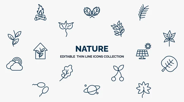 Concept Nature Web Icons Outline Style Thin Line Icons Camping — стоковый вектор