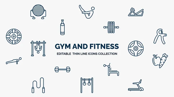 concept of gym and fitness web icons in outline style. thin line icons such as pilates ball, press simulator, gymnastic roller, grip, power ball, carrot and, simulator for press, rings exercises,