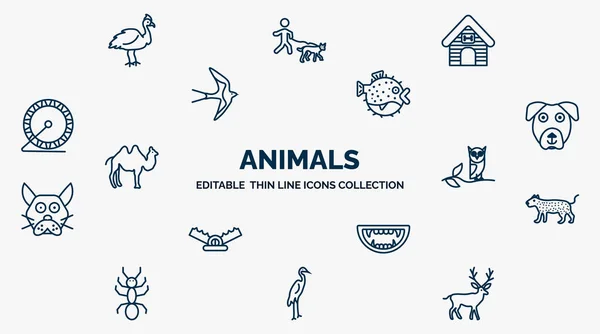 Concept Animals Web Icons Outline Style Thin Line Icons Cassowary —  Vetores de Stock