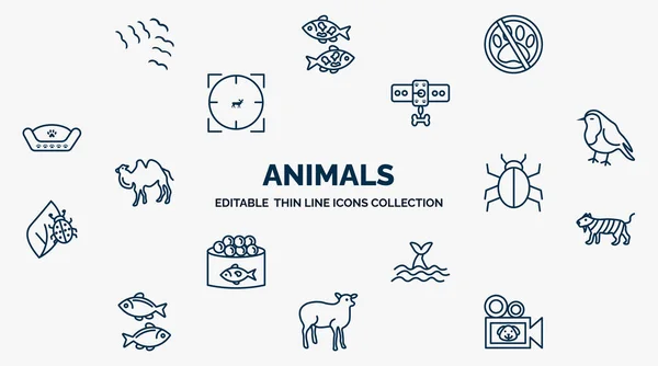 Concept Animals Web Icons Outline Style Thin Line Icons Flock —  Vetores de Stock