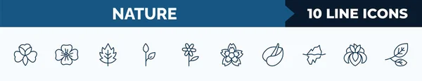 Set Nature Web Icons Outline Style Thin Line Icons Alstroemeria —  Vetores de Stock