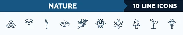 Set Nature Web Icons Outline Style Thin Line Icons Bougainvillea —  Vetores de Stock