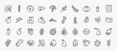 set of 40 fruits and vegetables icons in outline style. thin line icons such as basil, cucumber, pumpkin, mason jar, cherry, horseradish, dill, lychee, rambutan, grapefruit, blueberry, pitaya