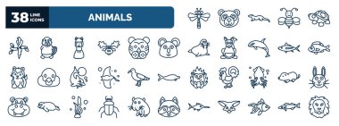 set of animals web icons in outline style. thin line icons such as dragonflay, aw, llama, koala, perch, albotros, mole, beetle, goldfish, , pike vector.