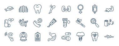 Ana hatlarıyla tıbbi ağ ikonları. Göğüs implantı, diz, damar yolu, pankreas, kan örneği, kan basıncı, tıbbi geçmiş, implant vektörü gibi ince çizgi simgeleri.