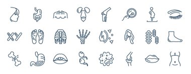 İnsan uzuvları web simgeleri ana hatlarıyla çizilmiş. Bir kadının yüzü, dışkılama sistemi, hamile kadın, insan ayak izleri, bağışıklık sistemi, insan ayağı, ağız açık,