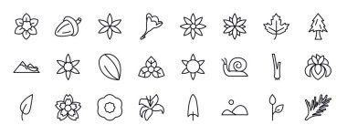 Doğa düzenlenebilir satır simgeleri ayarlandı. Doğa ince çizgi simgeleri koleksiyonu. narcissus, meşe, aster, frezya, clematis, astrantia, akçaağaç vektör çizimi.