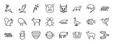 hayvanlar için düzenlenebilir satır simgeleri ayarlandı. Hayvanlar ince çizgi simgeleri koleksiyonu. roe, hawk, gecko, hog, pallas cat, ermine, desman vektör illüstrasyonu.