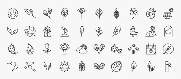 Set Nature Icons Outline Style Thin Line Icons Human Brian — Stockvektor