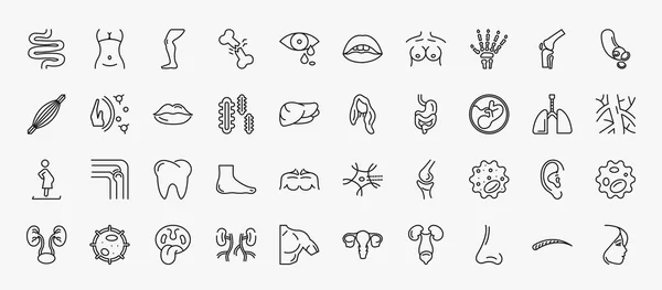 Set Human Body Parts Icons Outline Style Thin Line Icons — Stockvektor