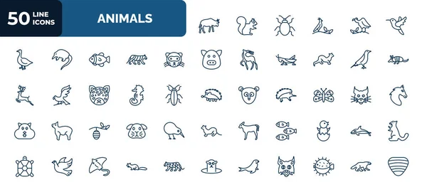 Set Animals Web Icons Outline Style Thin Line Icons Wildebeest — Vector de stock