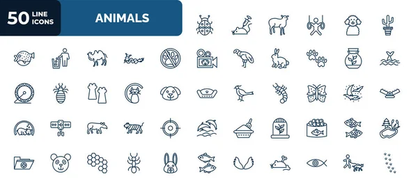 Set Animals Web Icons Outline Style Thin Line Icons Ladybird —  Vetores de Stock