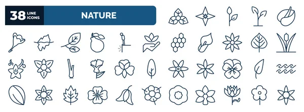 Set Nature Web Icons Outline Style Thin Line Icons Bougainvillea — Stok Vektör