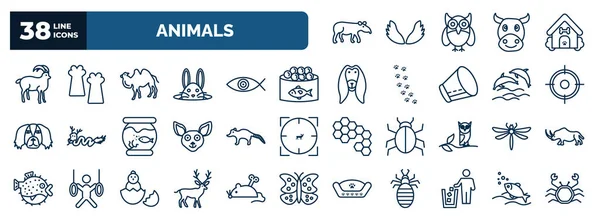 Set Animals Web Icons Outline Style Thin Line Icons Tapir — Vector de stock