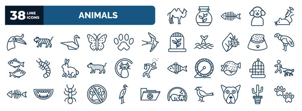 Set Animals Web Icons Outline Style Thin Line Icons Humps — Vector de stock