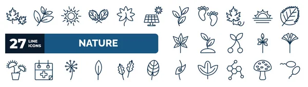 Set Nature Web Icons Outline Style Thin Line Icons Dry — Stockvektor