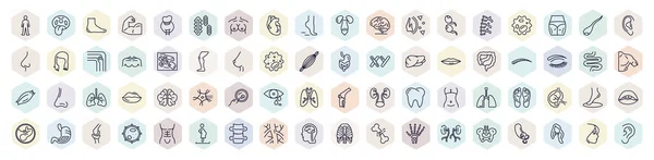 set of human body parts web icons in outline style. thin line icons such as standing human body, human foot, heart, two spermatozoon, skin cells, eyebrow, fertilization, foot side view, brain inside