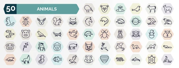 Set Animals Web Icons Outline Style Thin Line Icons Kiwi —  Vetores de Stock