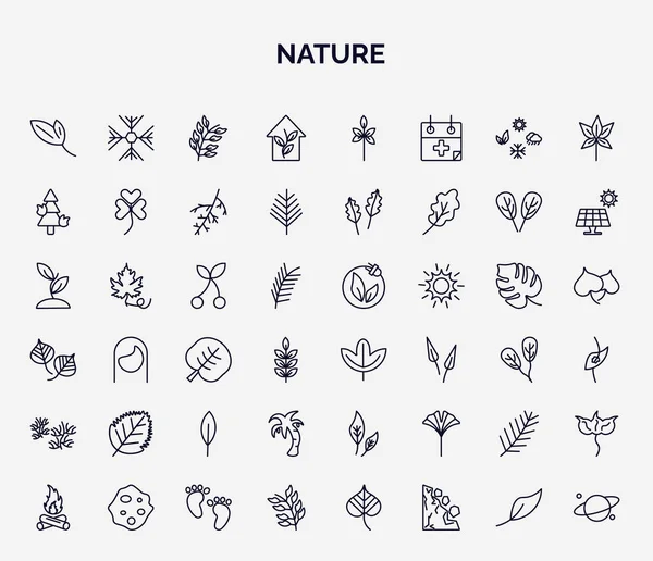 Set Nature Web Icons Outline Style Thin Line Icons Lanceolate —  Vetores de Stock
