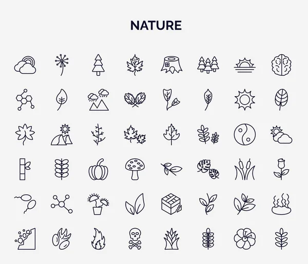 Set Nature Web Icons Outline Style Thin Line Icons Rainbow — Vector de stock