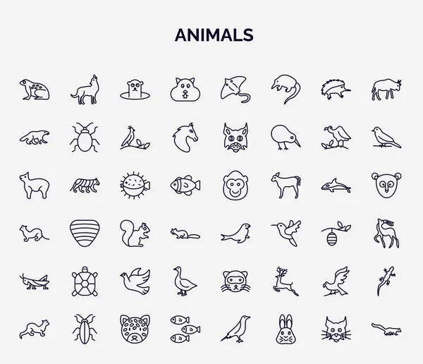 Набор Иконок Животных Стиле Наброска Тонкая Линия Иконы Такие Тропическая — стоковый вектор