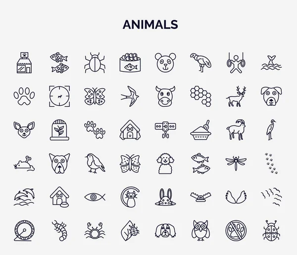 Ensemble Animaux Icônes Web Dans Style Contour Icônes Ligne Mince — Image vectorielle