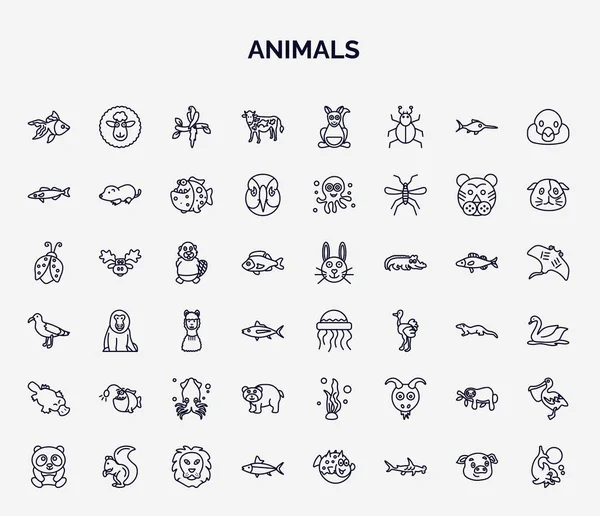 Set Animals Web Icons Outline Style Thin Line Icons Goldfish — Vetor de Stock